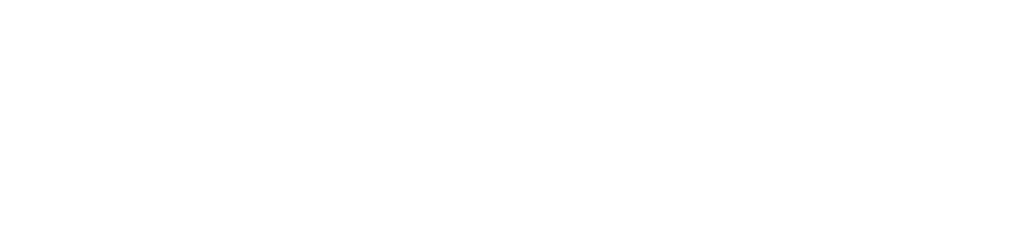 CMC Vellore Logo